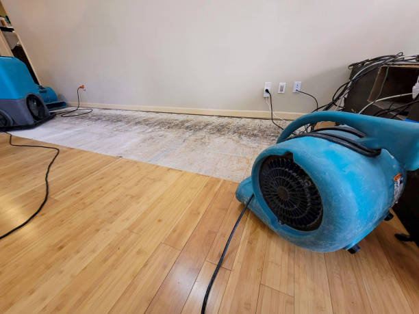 Reliable Basement Flood Cleanup contractor in York, ME by Hirex Water Damage