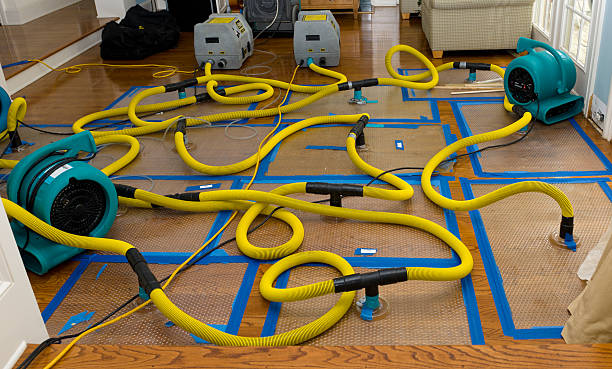 Professional Basement Flood Cleanup technician working in York, ME